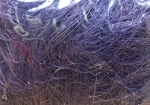 Sisal violett